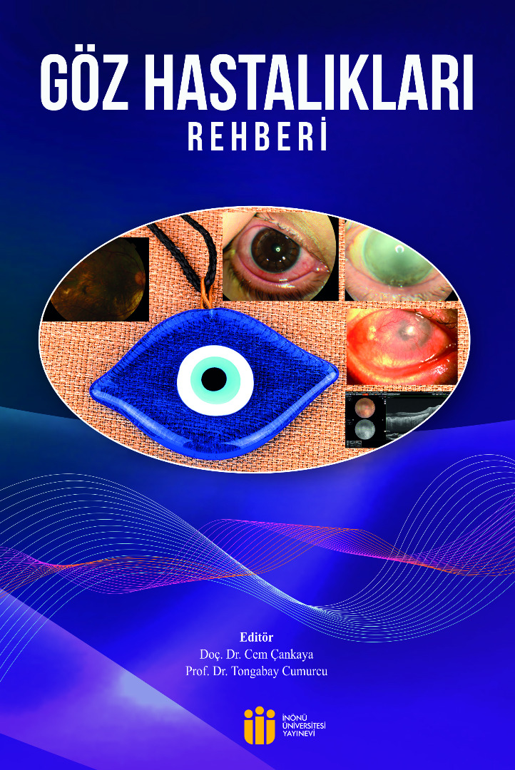 Göz Hastalıkları Rehberi