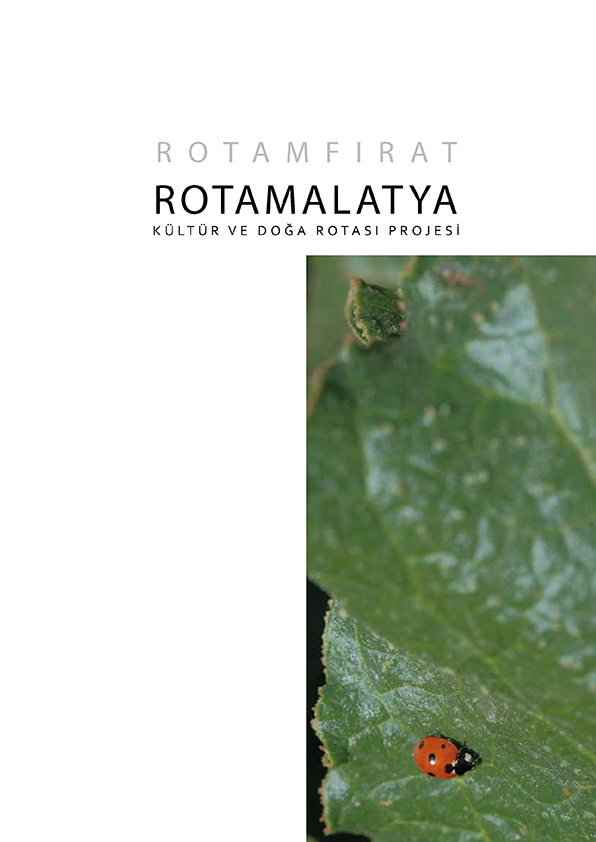 Coğrafya